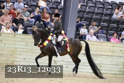 23R13_12933 thumbnail