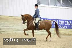 23R13_12977 thumbnail