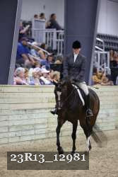 23R13_12981 thumbnail