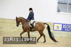 23R13_12982 thumbnail