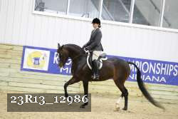 23R13_12986 thumbnail