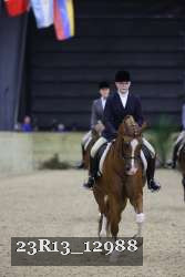 23R13_12988 thumbnail