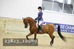 23R13_12989 thumbnail