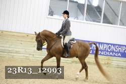 23R13_12993 thumbnail