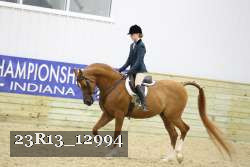 23R13_12994 thumbnail