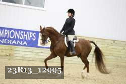 23R13_12995 thumbnail