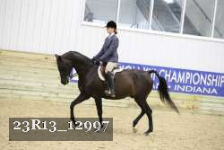 23R13_12997 thumbnail