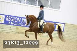 23R13_12999 thumbnail