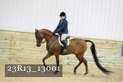 23R13_13001 thumbnail