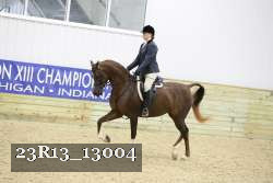 23R13_13004 thumbnail