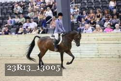 23R13_13005 thumbnail