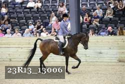 23R13_13006 thumbnail