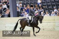23R13_13007 thumbnail