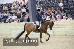 23R13_13009 thumbnail