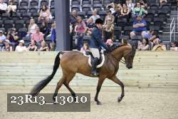 23R13_13010 thumbnail