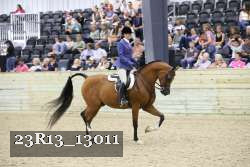 23R13_13011 thumbnail