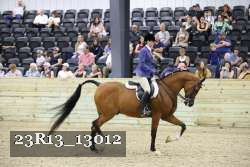 23R13_13012 thumbnail
