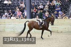 23R13_13013 thumbnail