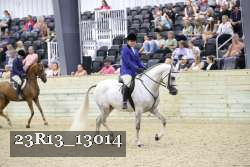 23R13_13014 thumbnail