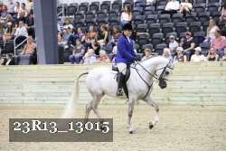 23R13_13015 thumbnail