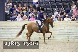 23R13_13016 thumbnail