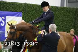 23R13_13017 thumbnail