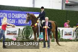 23R13_13019 thumbnail