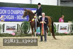 23R13_13020 thumbnail