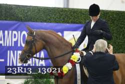 23R13_13021 thumbnail