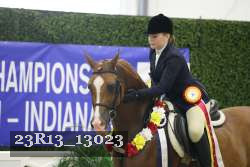 23R13_13023 thumbnail
