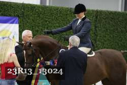 23R13_13024 thumbnail