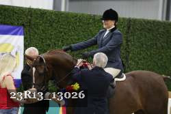 23R13_13026 thumbnail