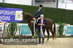 23R13_13029 thumbnail
