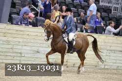 23R13_13031 thumbnail