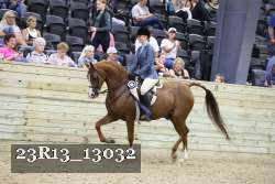23R13_13032 thumbnail