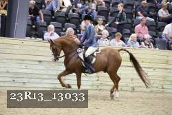 23R13_13033 thumbnail