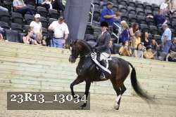 23R13_13034 thumbnail
