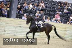 23R13_13035 thumbnail