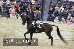 23R13_13036 thumbnail