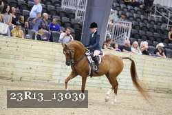 23R13_13039 thumbnail