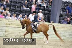 23R13_13041 thumbnail