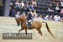 23R13_13042 thumbnail