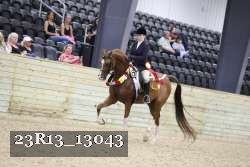 23R13_13043 thumbnail