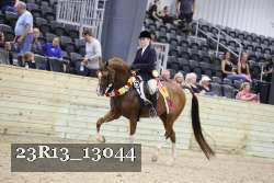 23R13_13044 thumbnail
