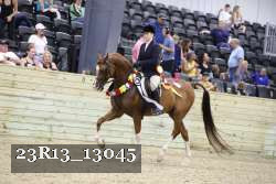 23R13_13045 thumbnail