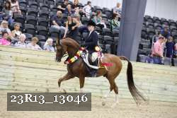 23R13_13046 thumbnail