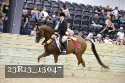 23R13_13047 thumbnail