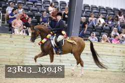 23R13_13048 thumbnail