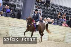 23R13_13050 thumbnail