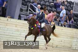23R13_13051 thumbnail